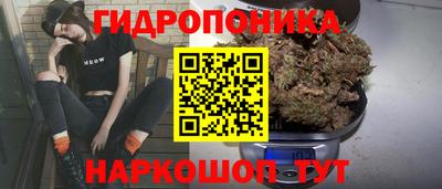 PSILOCYBIN Комсомольск-на-Амуре