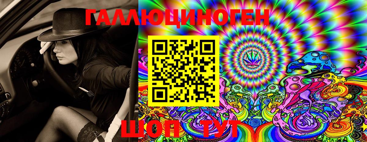 Галлюциногенные грибы Psilocybine cubensis  Вход с VPN  Кузнецк 